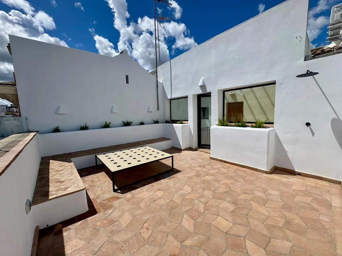 T19 Luxury Home 5Br Private Terrace Seville 0*,  Spain
